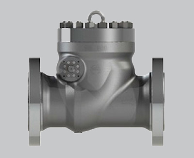 Swing Check Valves